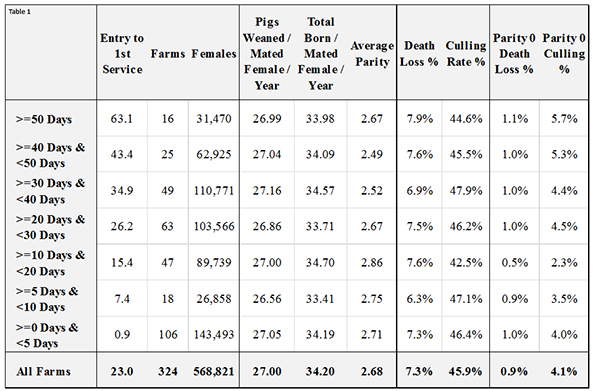Pig calculations that change based on when gilts are entered into the ...