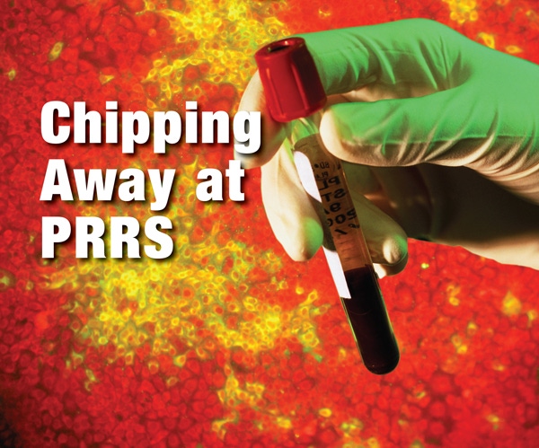 Advancing the Knowledge of PRRS