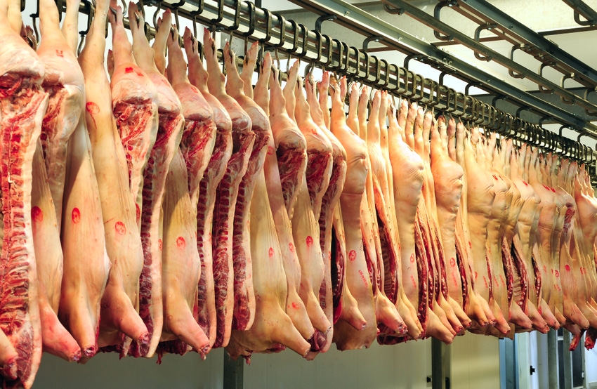 A place for independent producers in the swine industry A place for independent producers in the swine industry