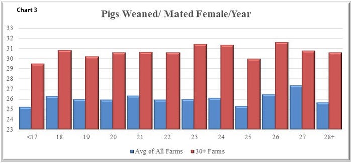 In Chart 3 the average of the 849 farms are displayed by wean age in blue and then in red the 119 farms achieving 30+ PW/MF/Y for the last 52 weeks. 