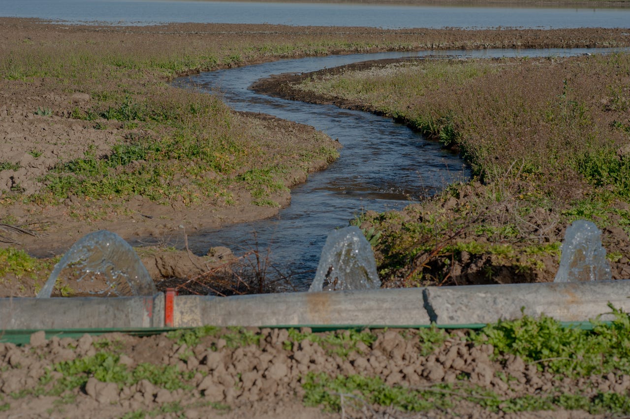 Farm Progress America, October 28, 2025
