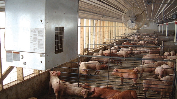 Your minimum ventilation rate may be wrong Your minimum ventilation rate may be wrong