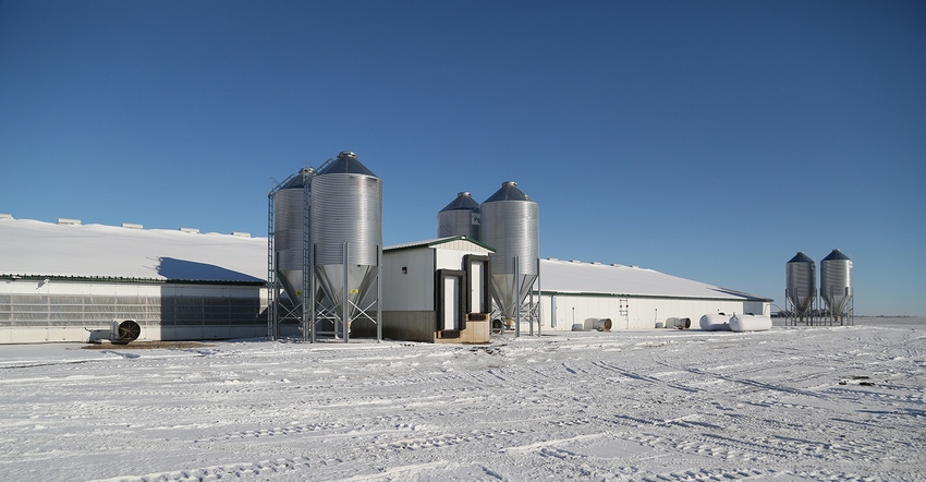 Hog building in the winter Hog building in the winter