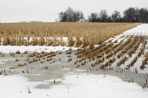 Use Caution with Winter Manure Application