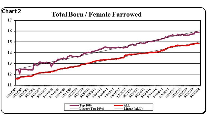 Chart 2: Total born per female farrowed 