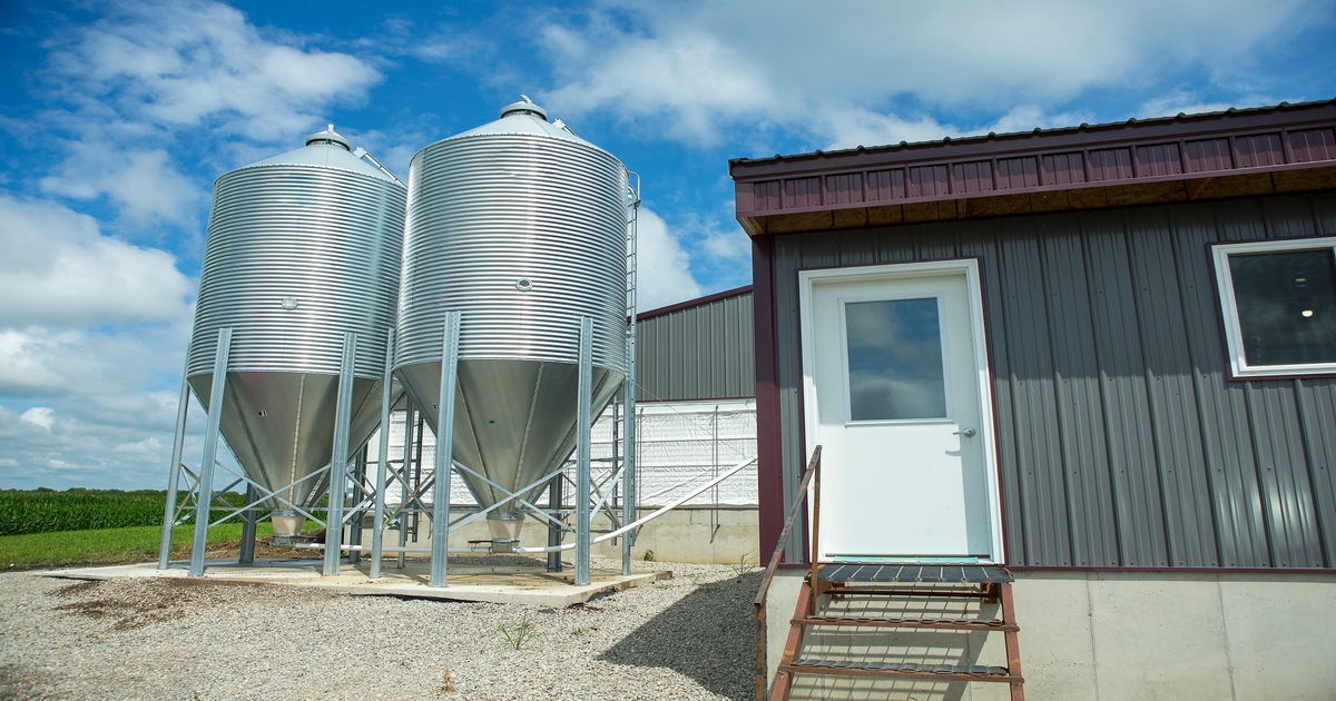 The perceived soybean meal shortage