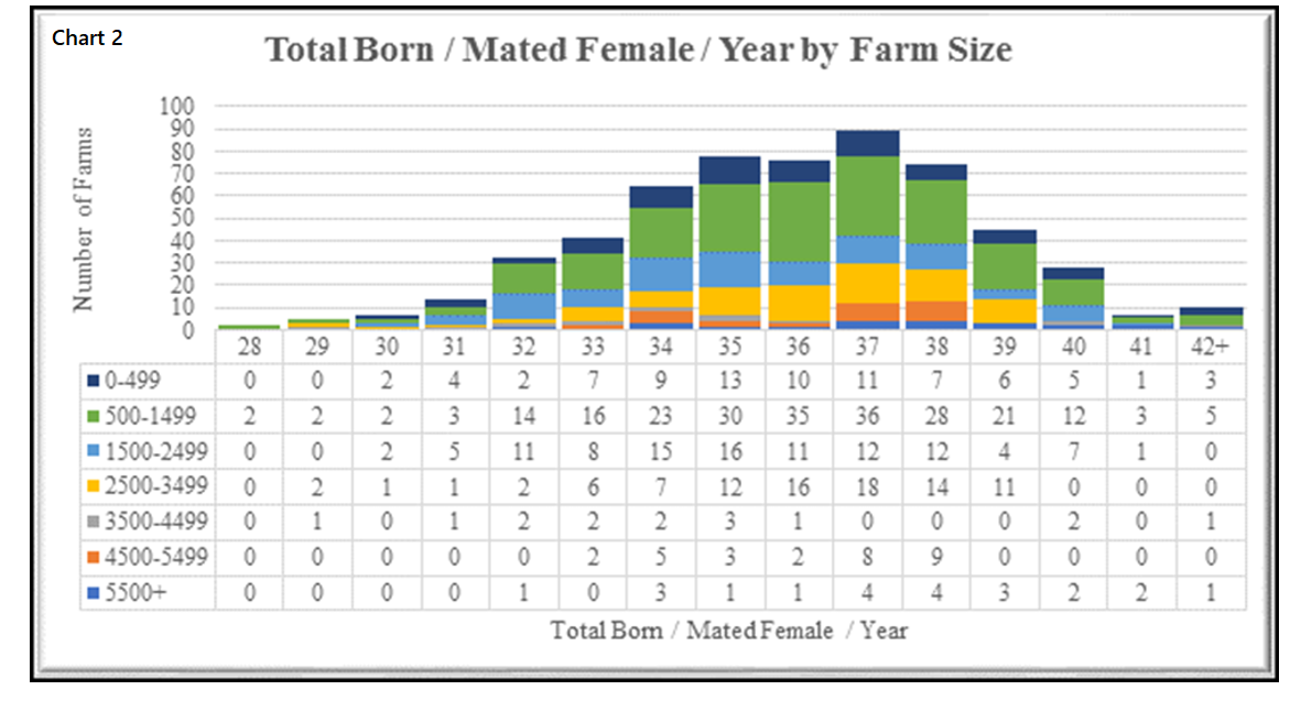 23+ New York & Company Size Chart