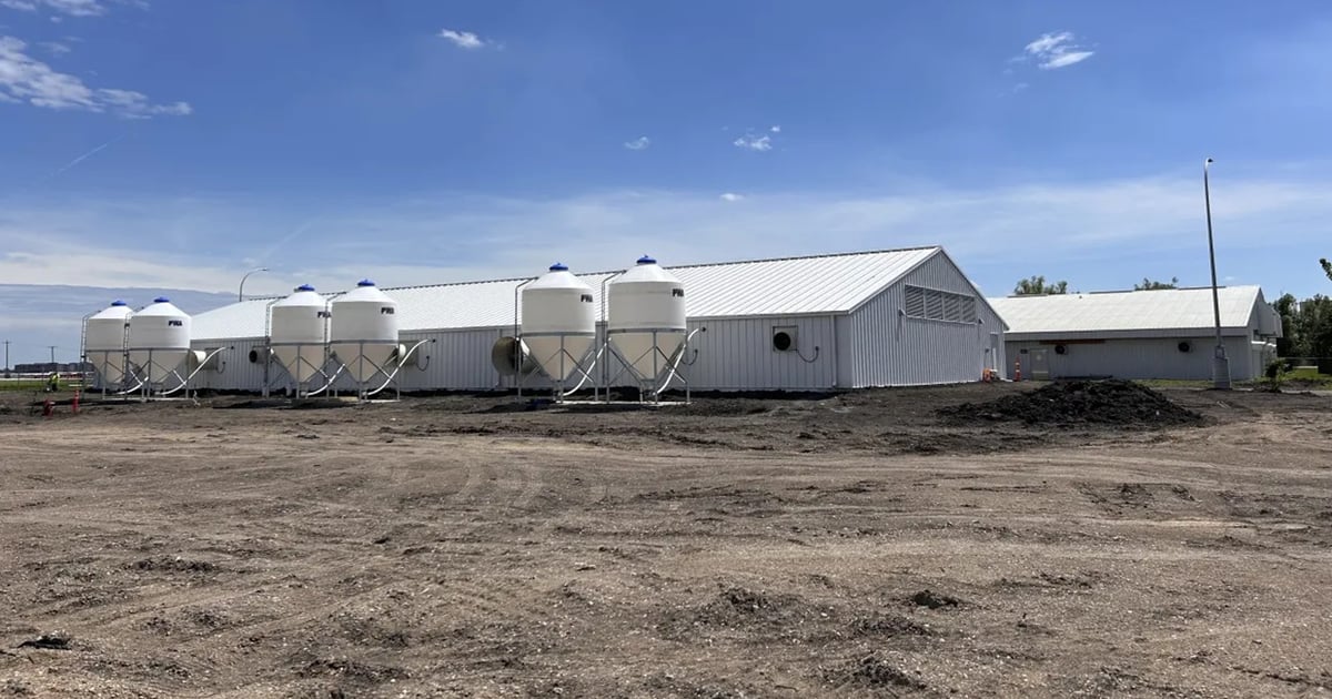 NDSU celebrates opening of enhanced swine research facility