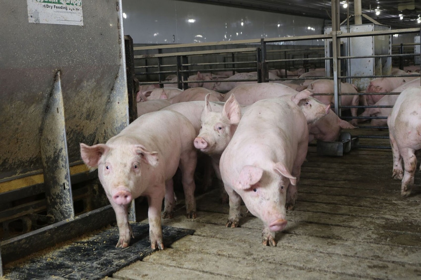 nhf-npb-farm-tour-pipestone.jpg nhf-npb-farm-tour-pipestone.jpg