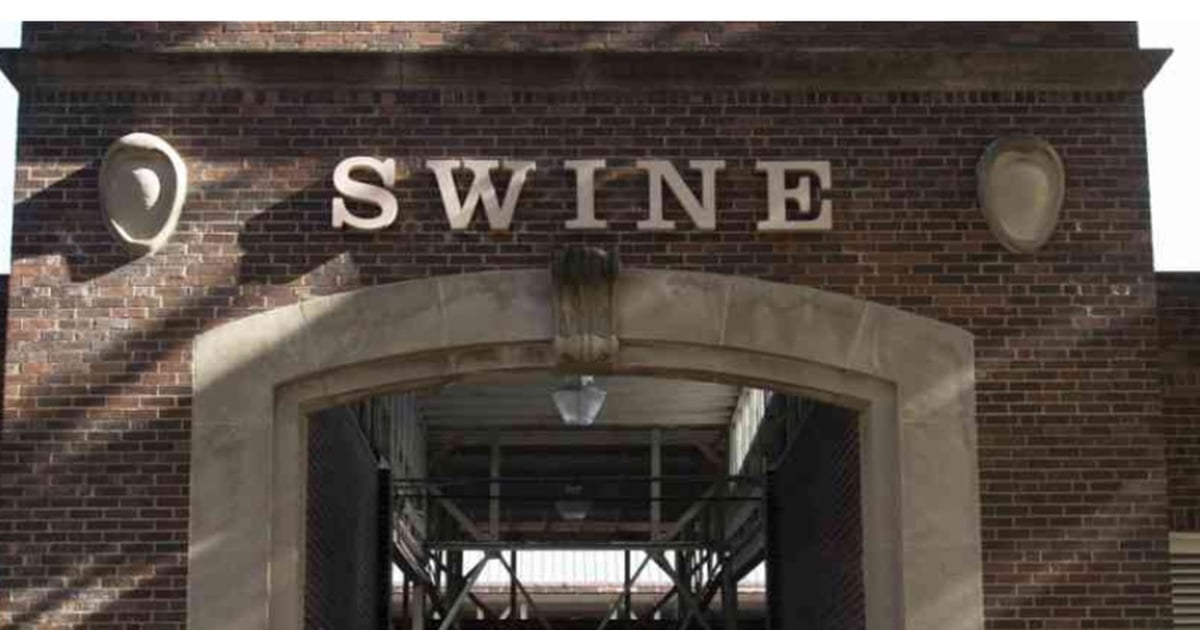 $19.6M renovation planned for Iowa State Fair Swine Barn