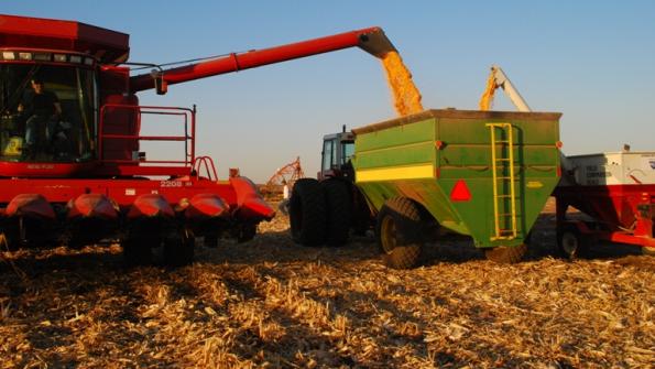 Crop Progress This Week: Corn Harvest Starts; Soybeans Dropping Leaves