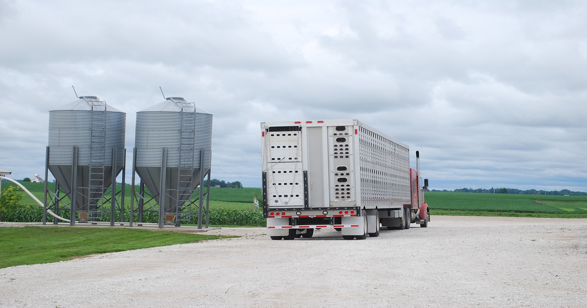 FMCSA expands emergency declaration, includes livestock movement