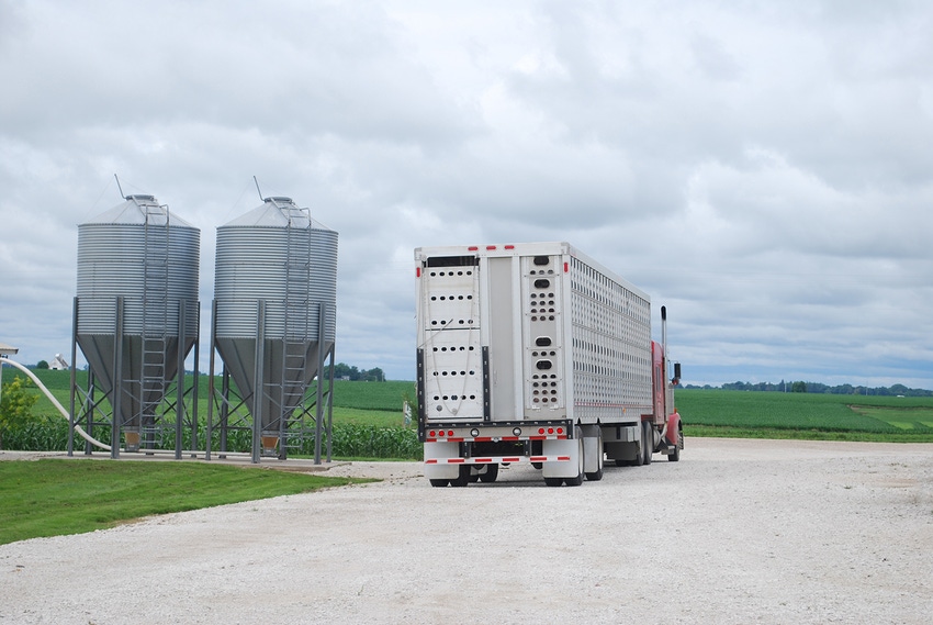 livestock trailer by two feed bulk bins