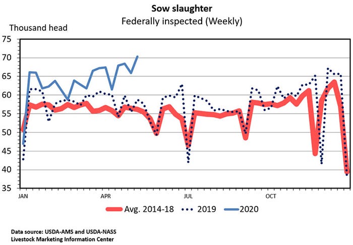 Chart: Sow slaughter, Federally inspected (Weekly)
