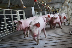 Consumers want pork, and U.S. producers deliver