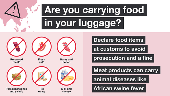  Are you carrying food in your luggage?