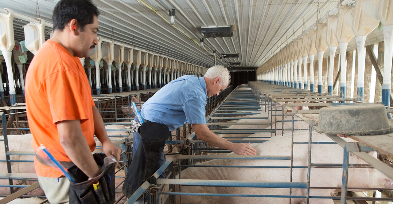 Barn Operator Study links employee satisfaction and barn culture to performance