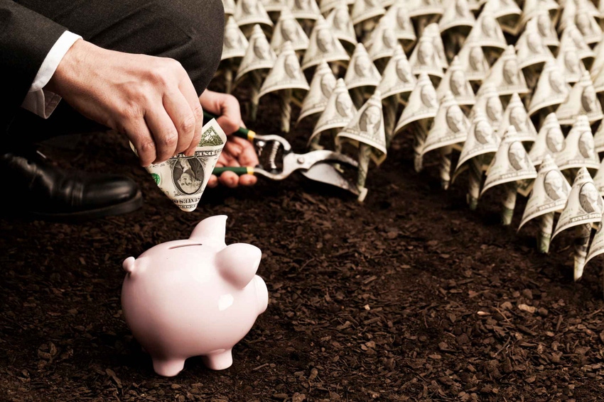 Piggy Bank Savings.jpg