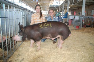 Pigs and Their People at 2012 World Pork Expo