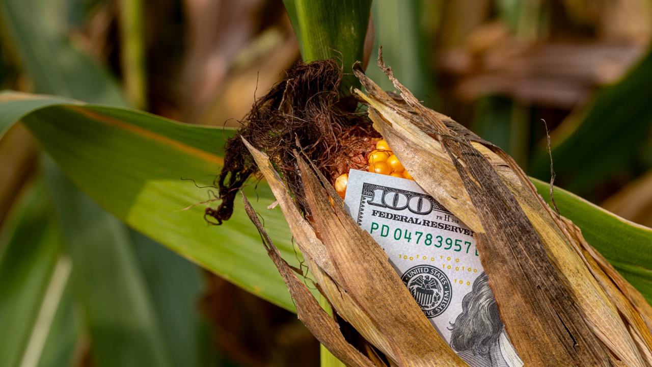 Getty Images Corn Money