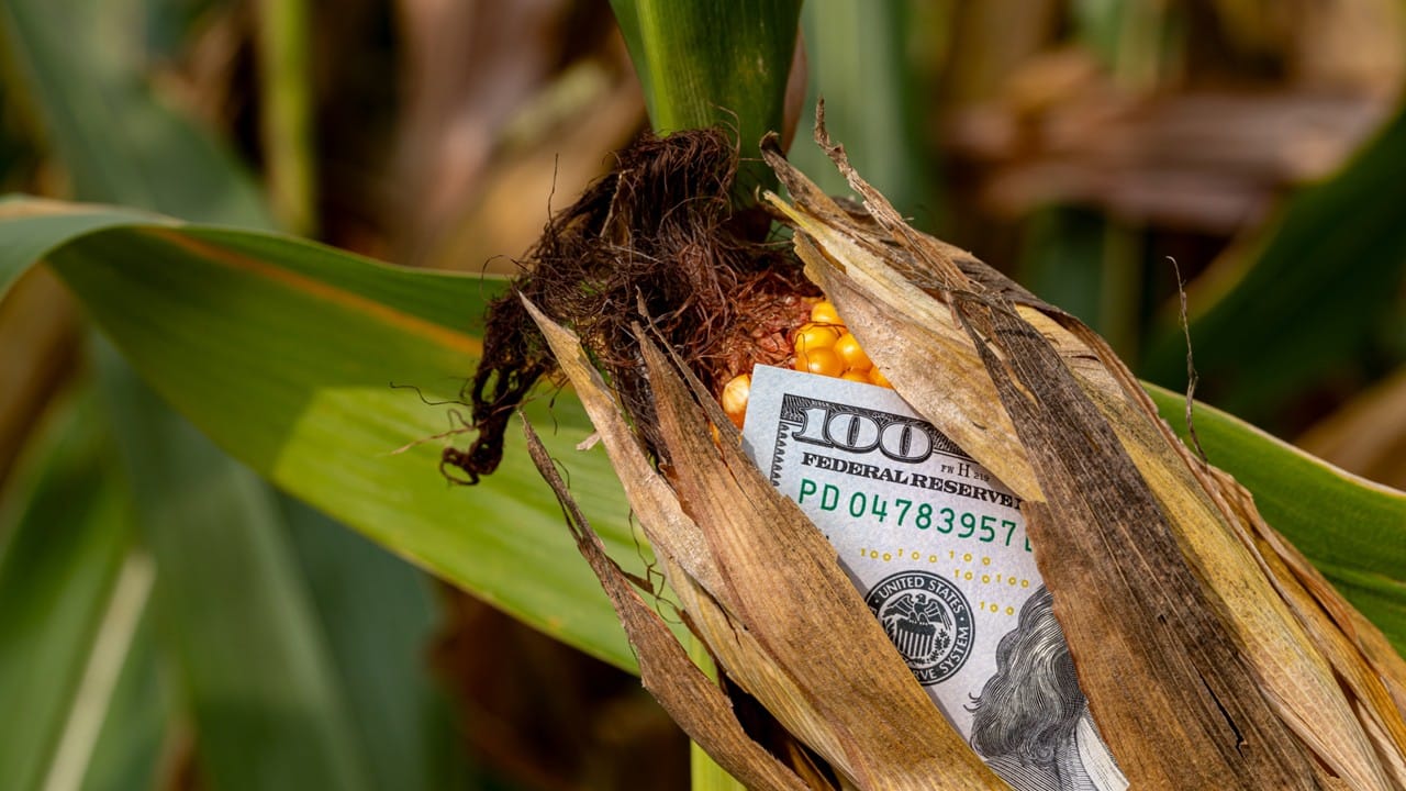 U.S. agriculture’s $10T impact: 49M jobs, $3T in wages in 2026 Getty Images Corn Money