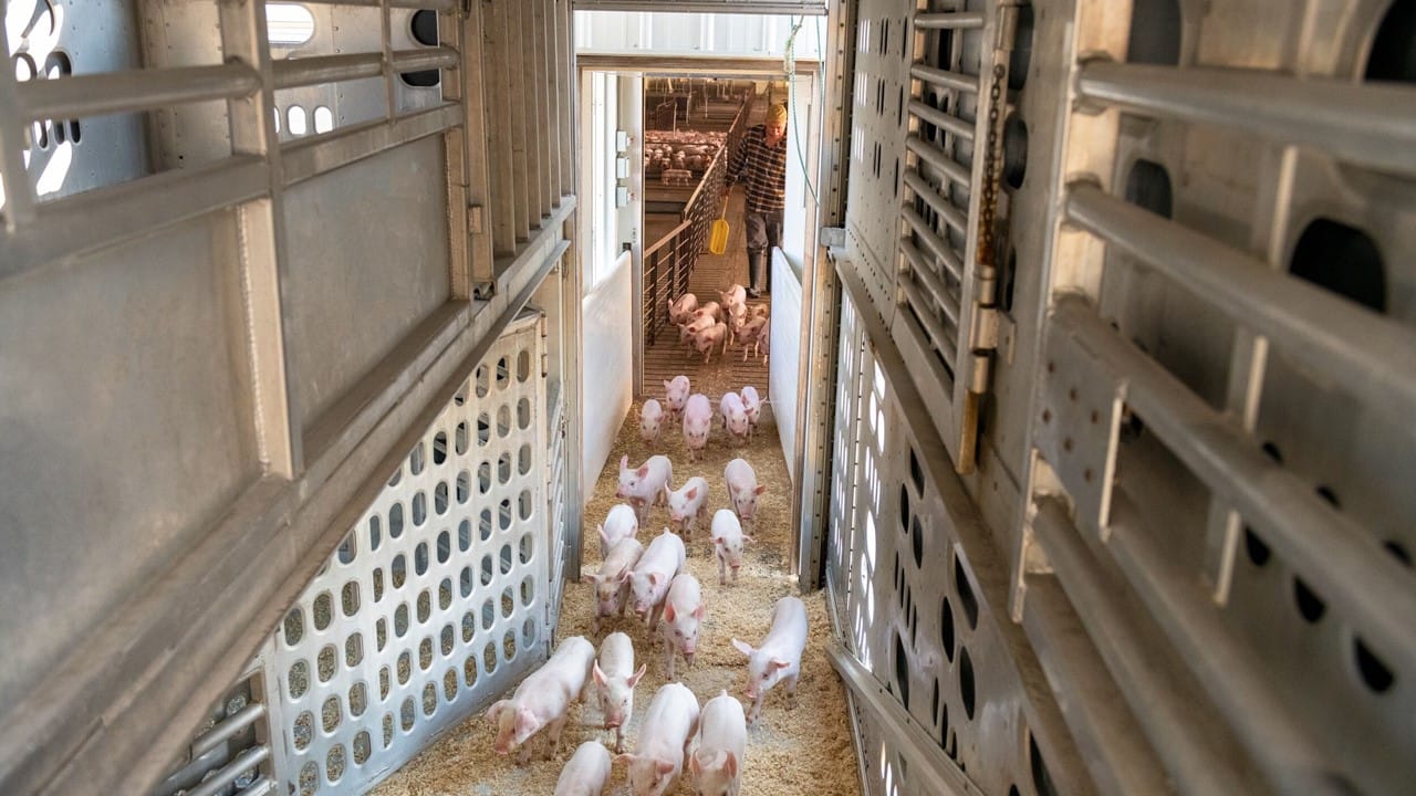 Managing the market we have, not the one we hoped for