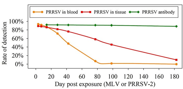  Predicted positivity rates of detection of PRRSV in serum by RT-PCR (viremic pigs), infectious PRRSV in tissues by bioassay (carrier pigs), and PRRSV-specific antibody by ELISA (pre-exposed pigs), over time post exposure. Based on a meta-analysi