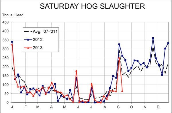 Saturday hog slaughter