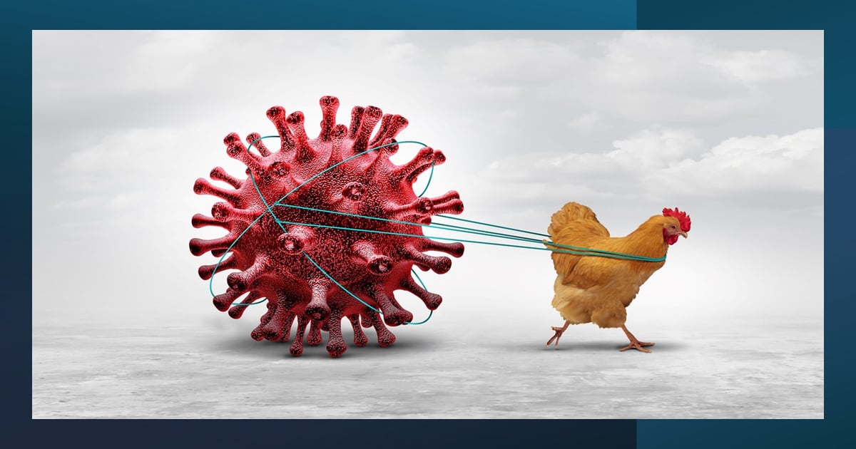 Addressing H5N1 in Pigs: Key Insights and Knowledge Gaps in Swine Health Management - News Directory 3