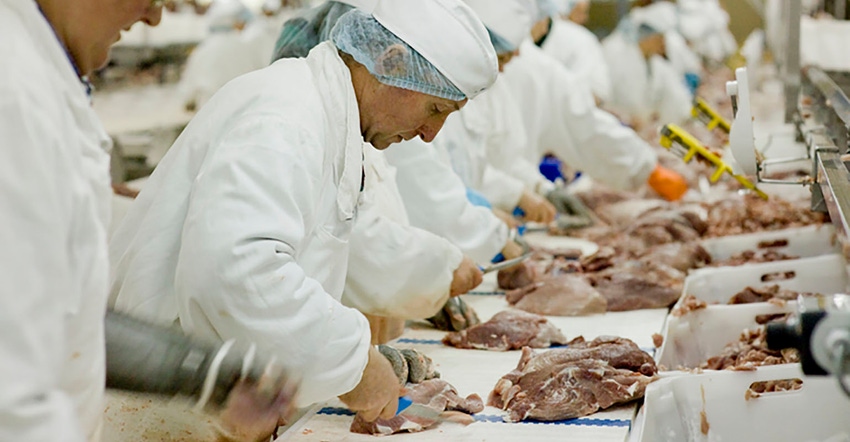 Meat cutters on an assembly line
