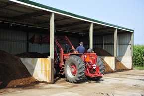 Composting Improves Swine Farm Biosecurity