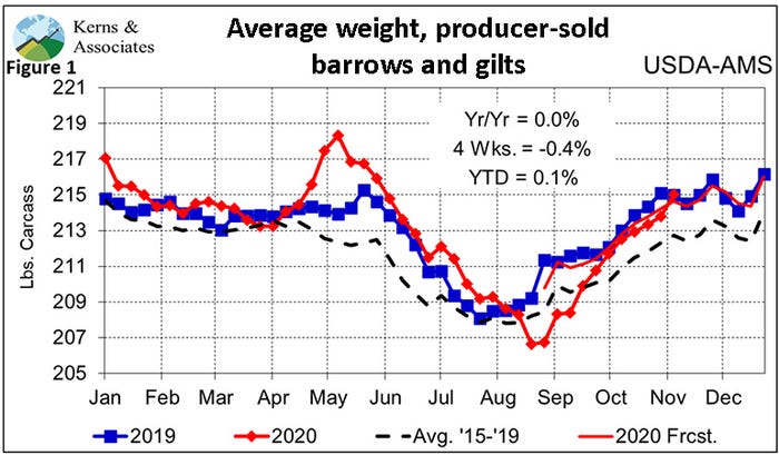 Figure 1: Average weight, producer-sold barrows and gilts