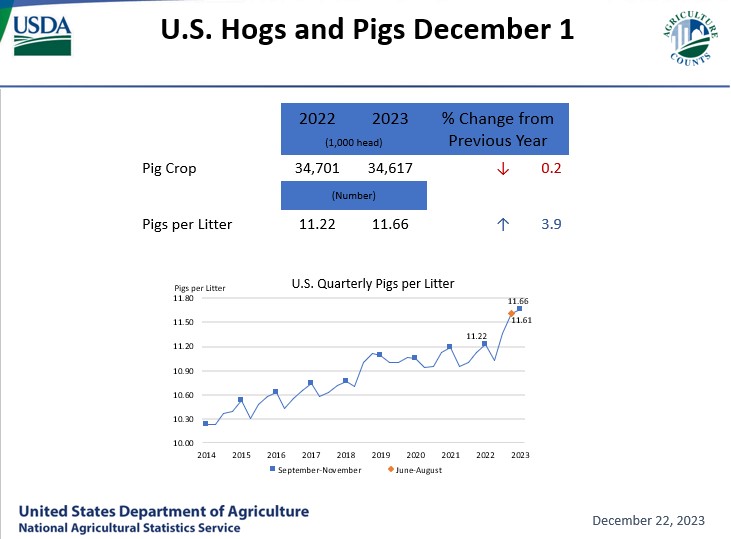 U.S. hog and pig inventory up slightly, now 75 million head