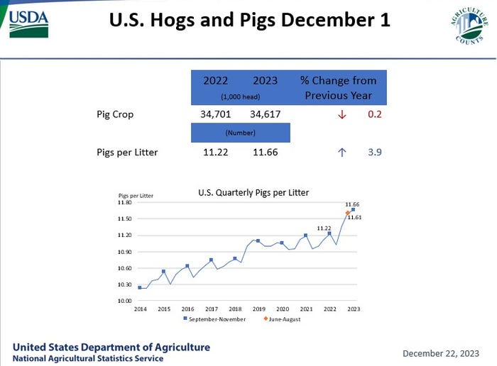 USDA_Pig_Crops_1223.jpg
