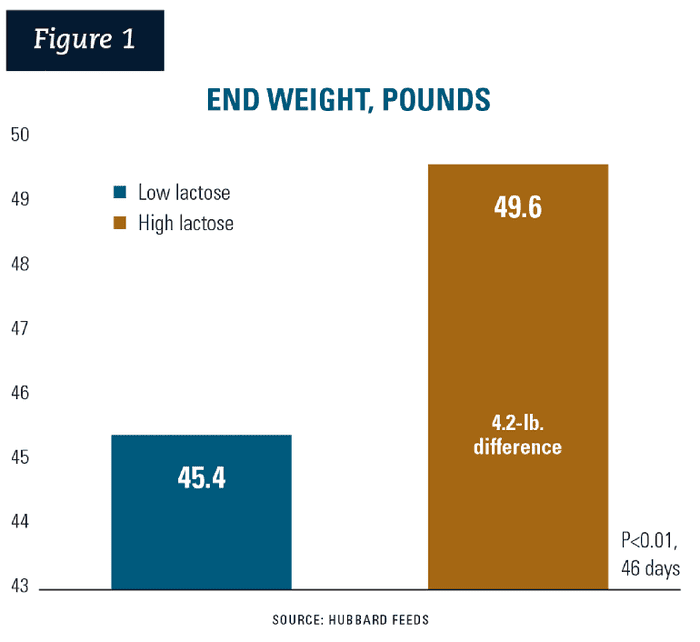 Figure 1: The nursery exit weight reduction of over 4 pounds bodyweight (45.4 versus 49.6) illustrates a response solely to lactose.