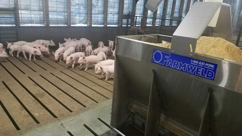 Farmweld strengthens pork production support in Midwest