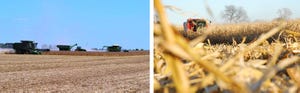USDA forecasts corn production down, soybeans up from ’16