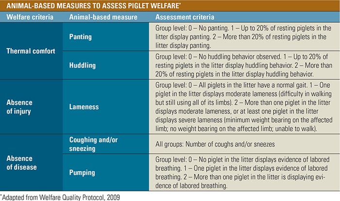 Table: Animal-based measures to assess piglet welfare