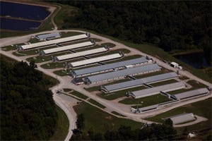 Cargill Opens Sow Innovation Center Located in Kentucky
