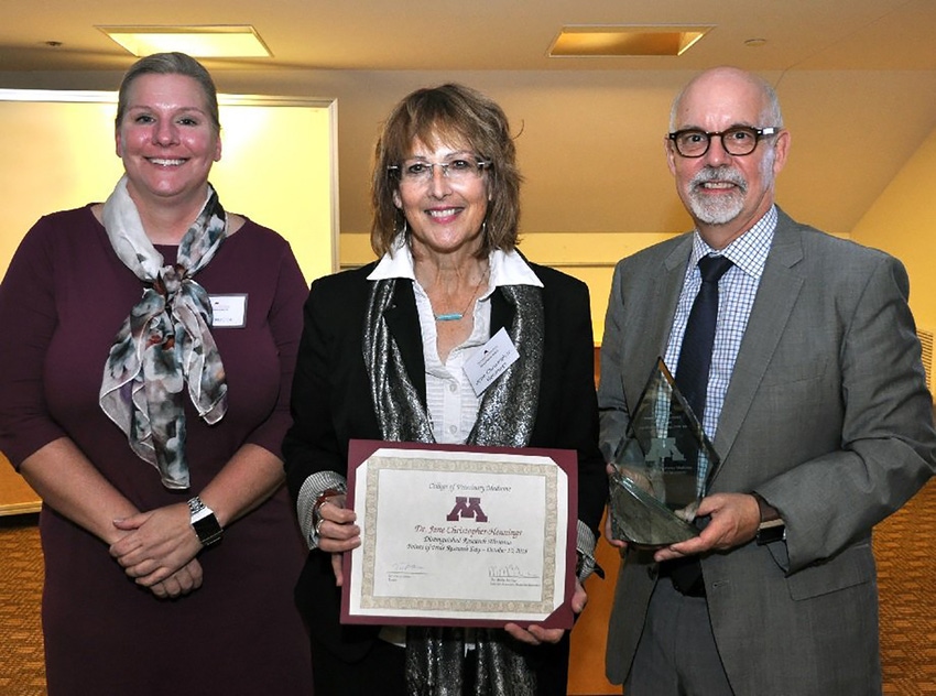 Hennings receives University of Minnesota Distinguished Researcher Award