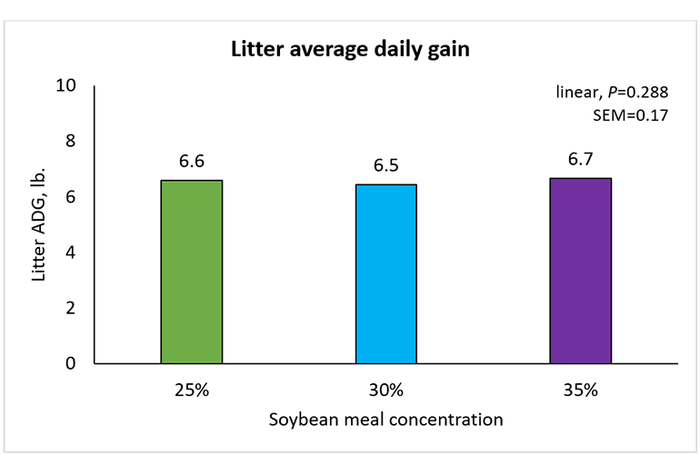 Figure 2: Effect of lactation diet soybean meal concentration on litter average daily gain to weaning.