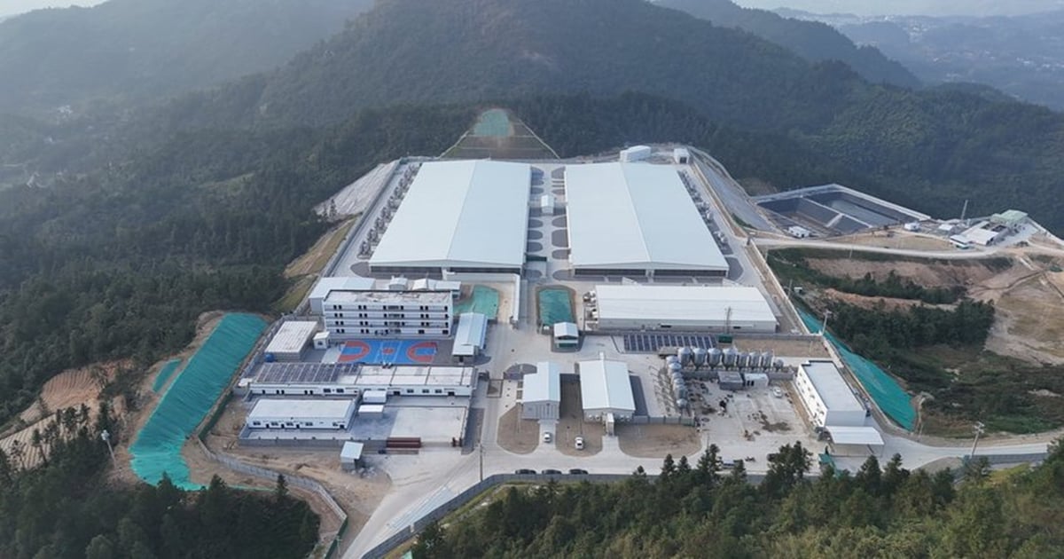 Hendrix Genetics, Huanshan Group launch swine nucleus farm