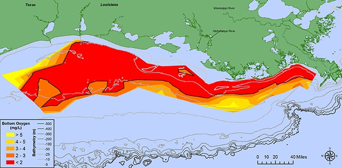 5 things Mighty Earth failed to mention about the Gulf of Mexico dead zone