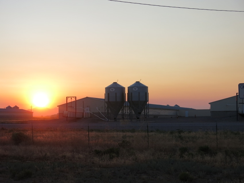 Pig Farm (3).jpg Pig Farm (3).jpg