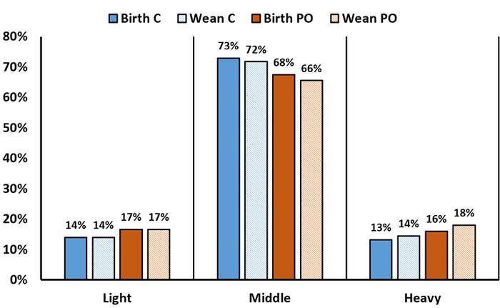 Figure 1: Distribution of light, middle and heavy piglets at birth and weaning from sows fed diets supplemented, or not, with a phytogenic oil during lactation.