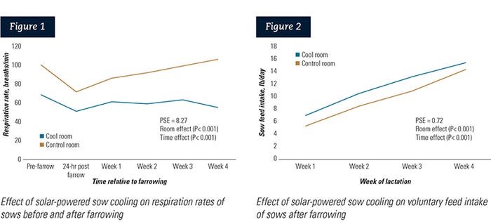 Figure 1: (Left) Effect of solar-powered sow cooling on respiration rates of sows before and after farrowing; Figure 2: (Right) Effect of solar-powered sow cooling on voluntary feed intake of sows after farrowing