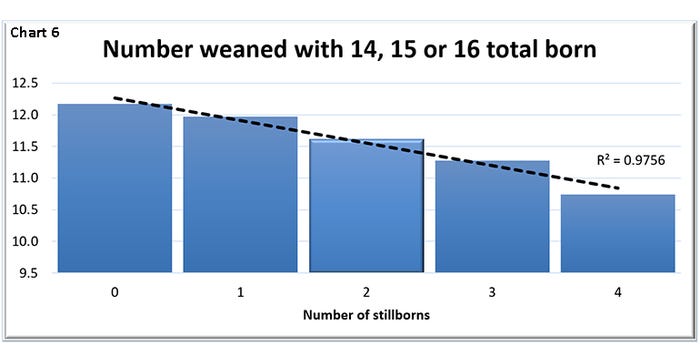  Number weaned with 14, 15 or 16 total born