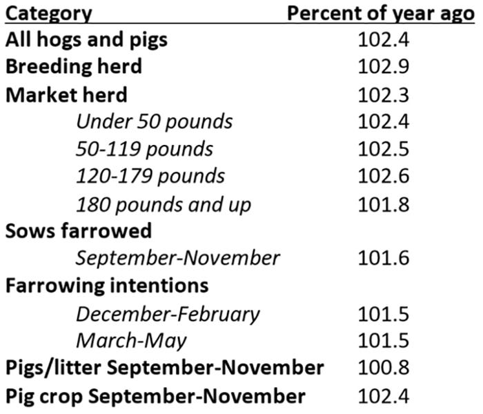Ron Plain's predictions of the December hog inventory numbers 