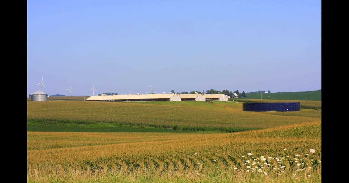 Census Farms Census: Family-owned farms make up 95% of U.S. agricultural operations