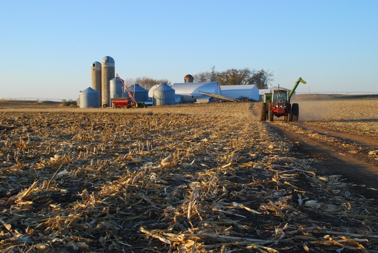 USDA Releases October Crop Report